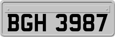 BGH3987
