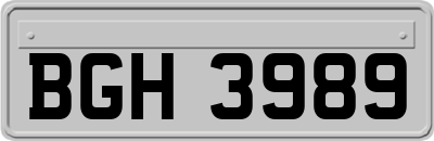 BGH3989