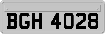 BGH4028
