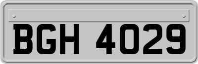 BGH4029