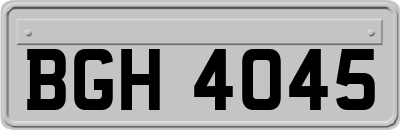 BGH4045