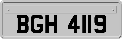 BGH4119