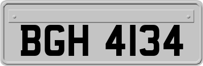 BGH4134
