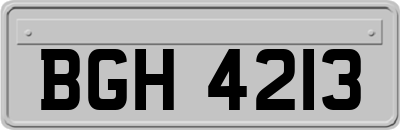BGH4213