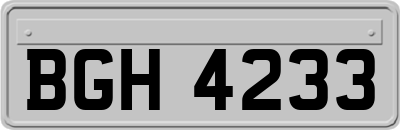 BGH4233