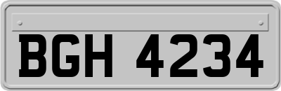 BGH4234