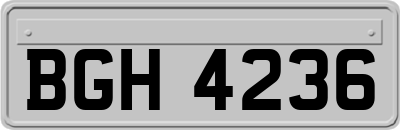 BGH4236
