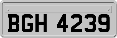 BGH4239