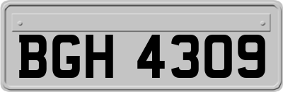 BGH4309