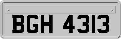 BGH4313