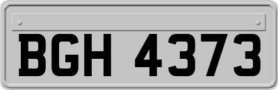 BGH4373