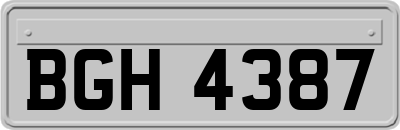 BGH4387