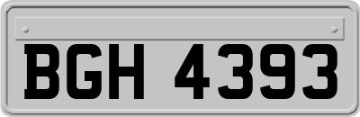 BGH4393