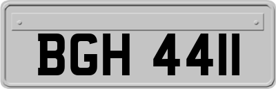 BGH4411