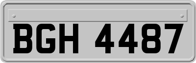 BGH4487