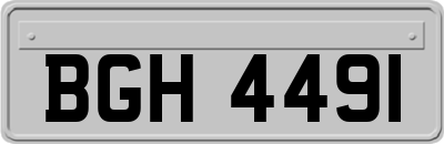 BGH4491