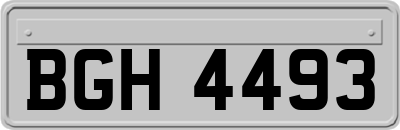 BGH4493