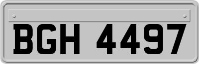 BGH4497