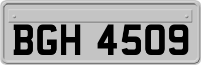 BGH4509