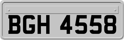 BGH4558