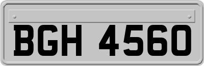BGH4560