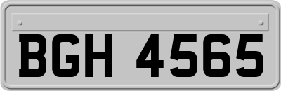 BGH4565