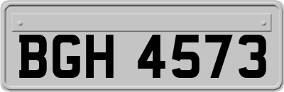 BGH4573