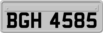 BGH4585