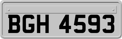BGH4593