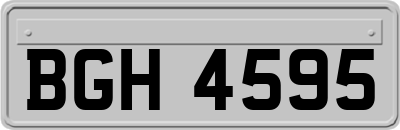 BGH4595