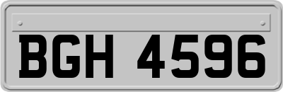 BGH4596