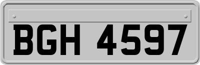 BGH4597
