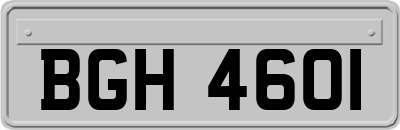 BGH4601