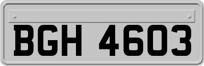 BGH4603