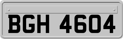 BGH4604
