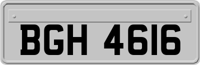 BGH4616