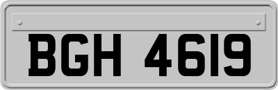 BGH4619