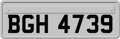 BGH4739
