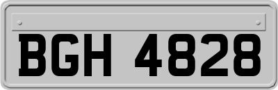BGH4828