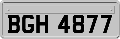 BGH4877