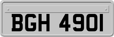 BGH4901