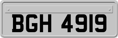 BGH4919