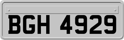 BGH4929
