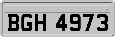BGH4973