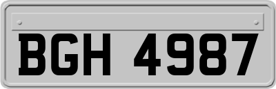 BGH4987