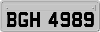 BGH4989