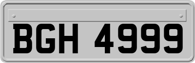 BGH4999