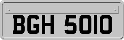 BGH5010