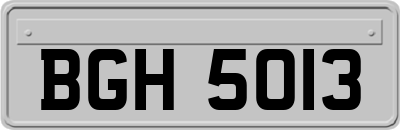 BGH5013