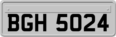 BGH5024